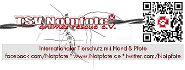 logo notpfote -